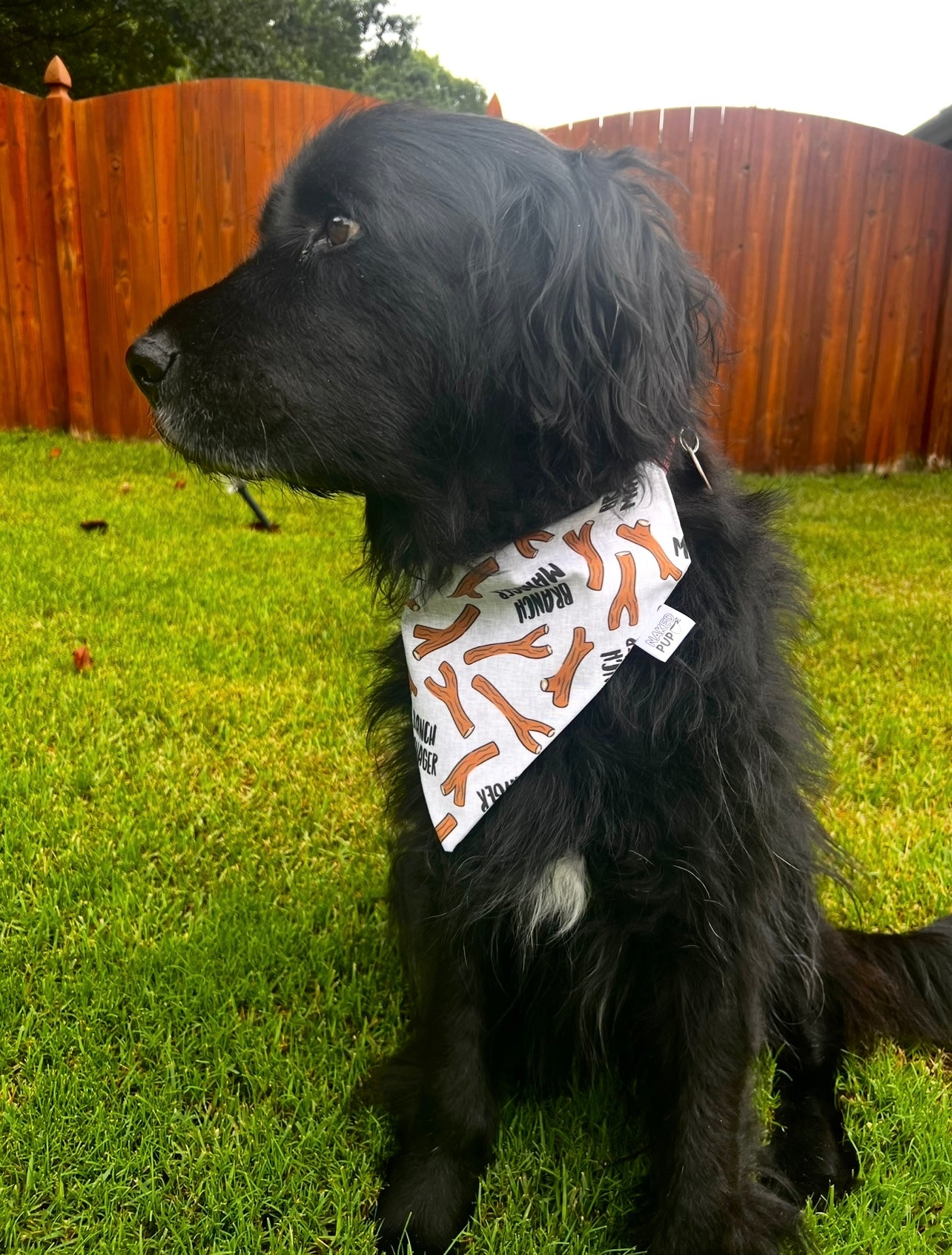 Branch Manager Dog Bandana