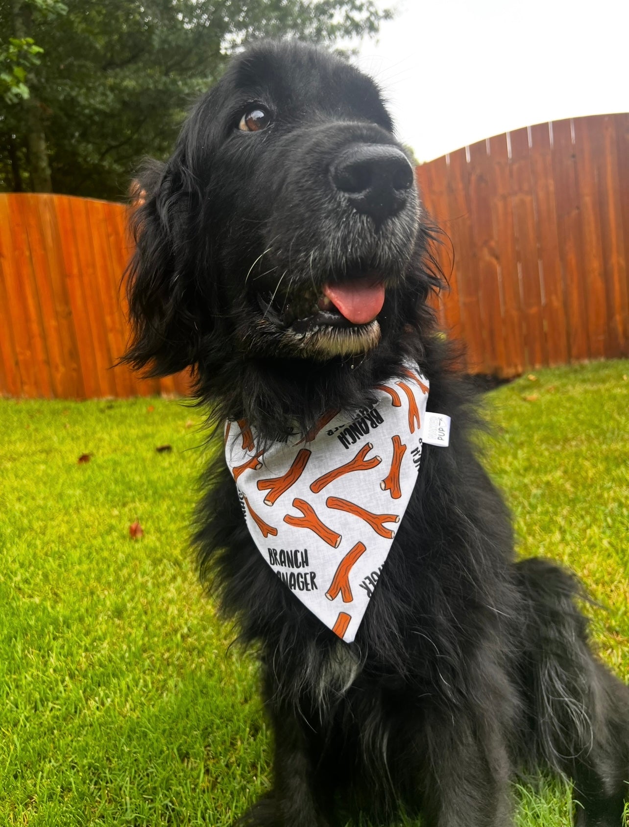 Branch Manager Dog Bandana