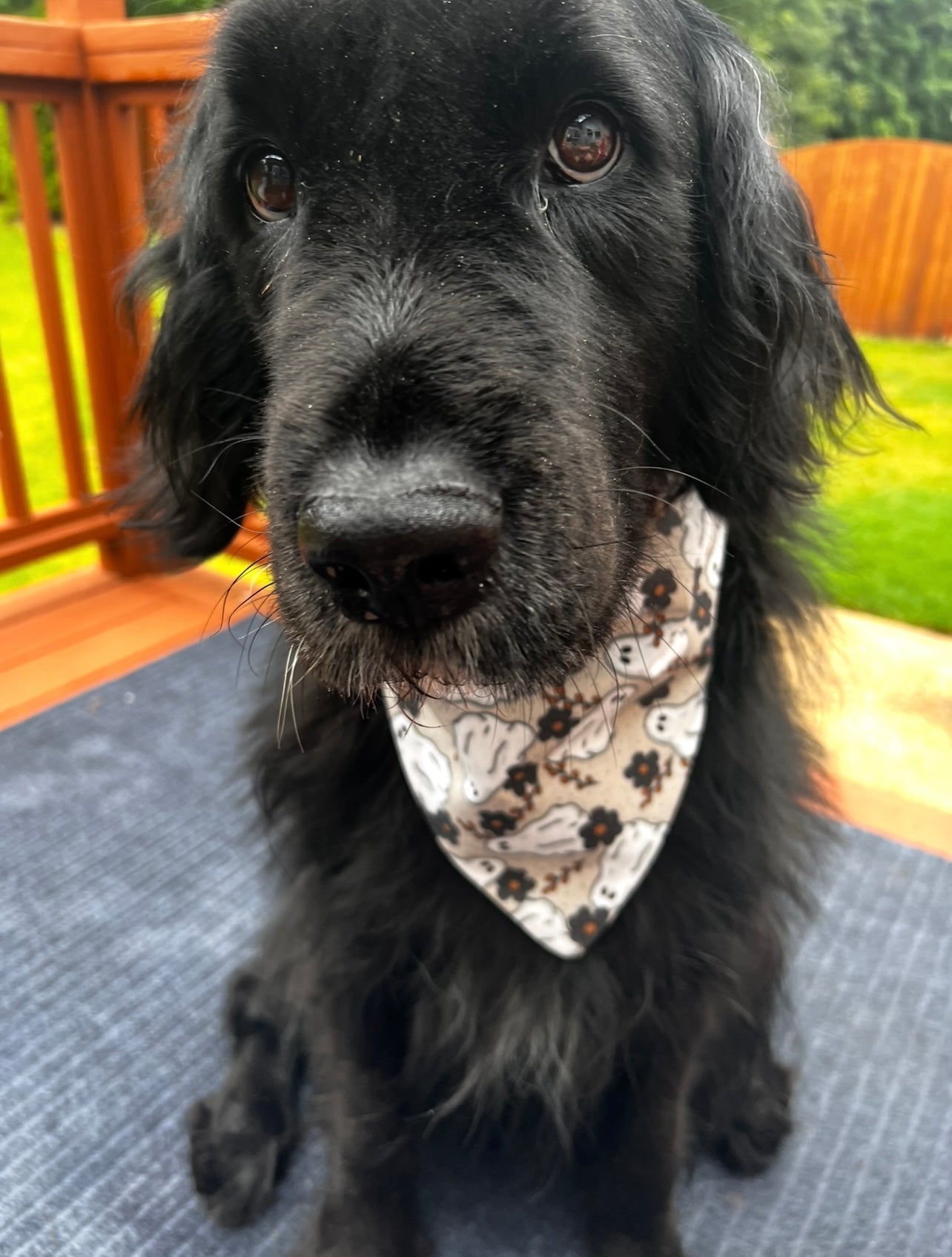Floral Ghost Dog Bandana
