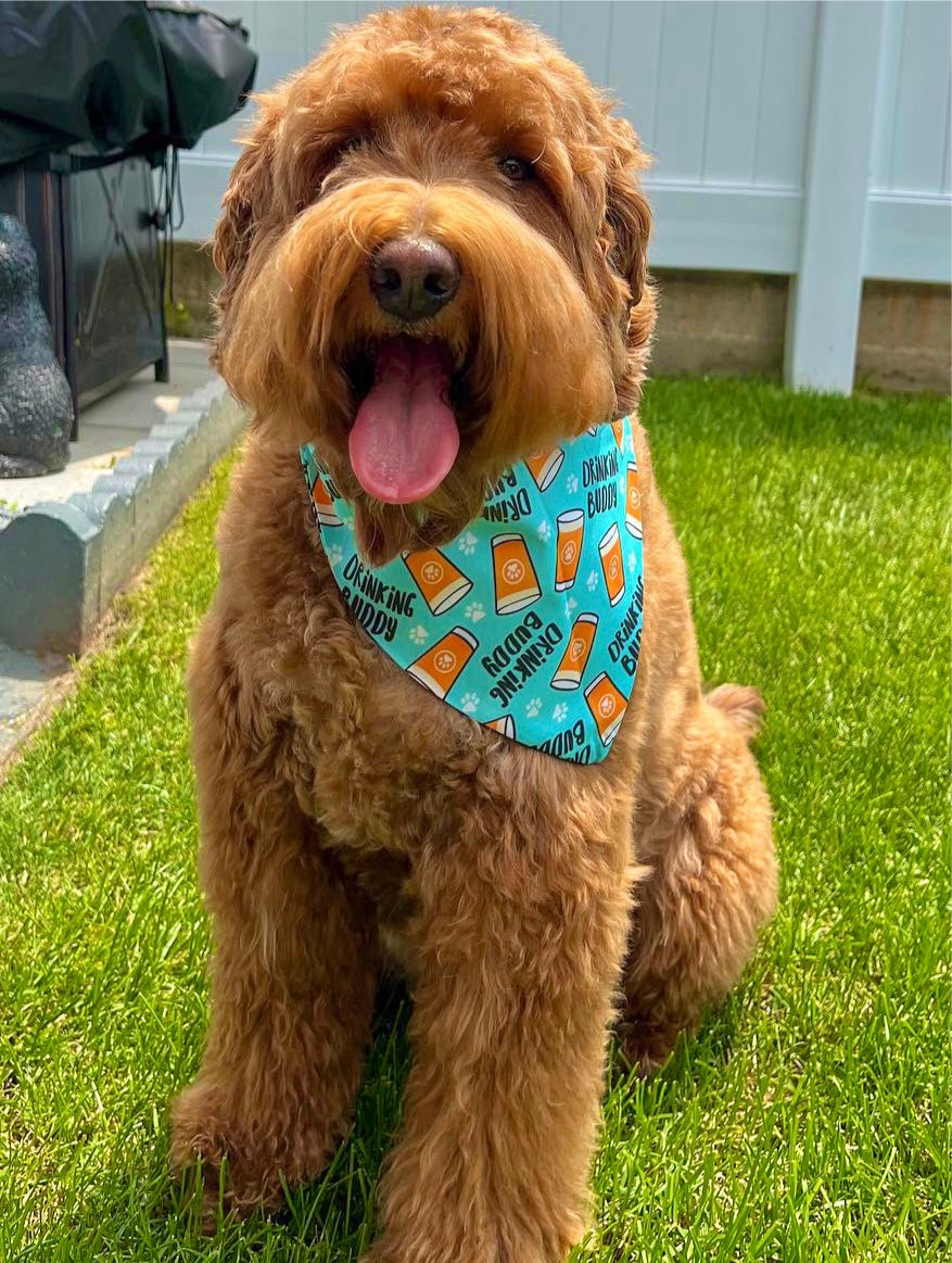 Drinking Buddy Dog Bandana
