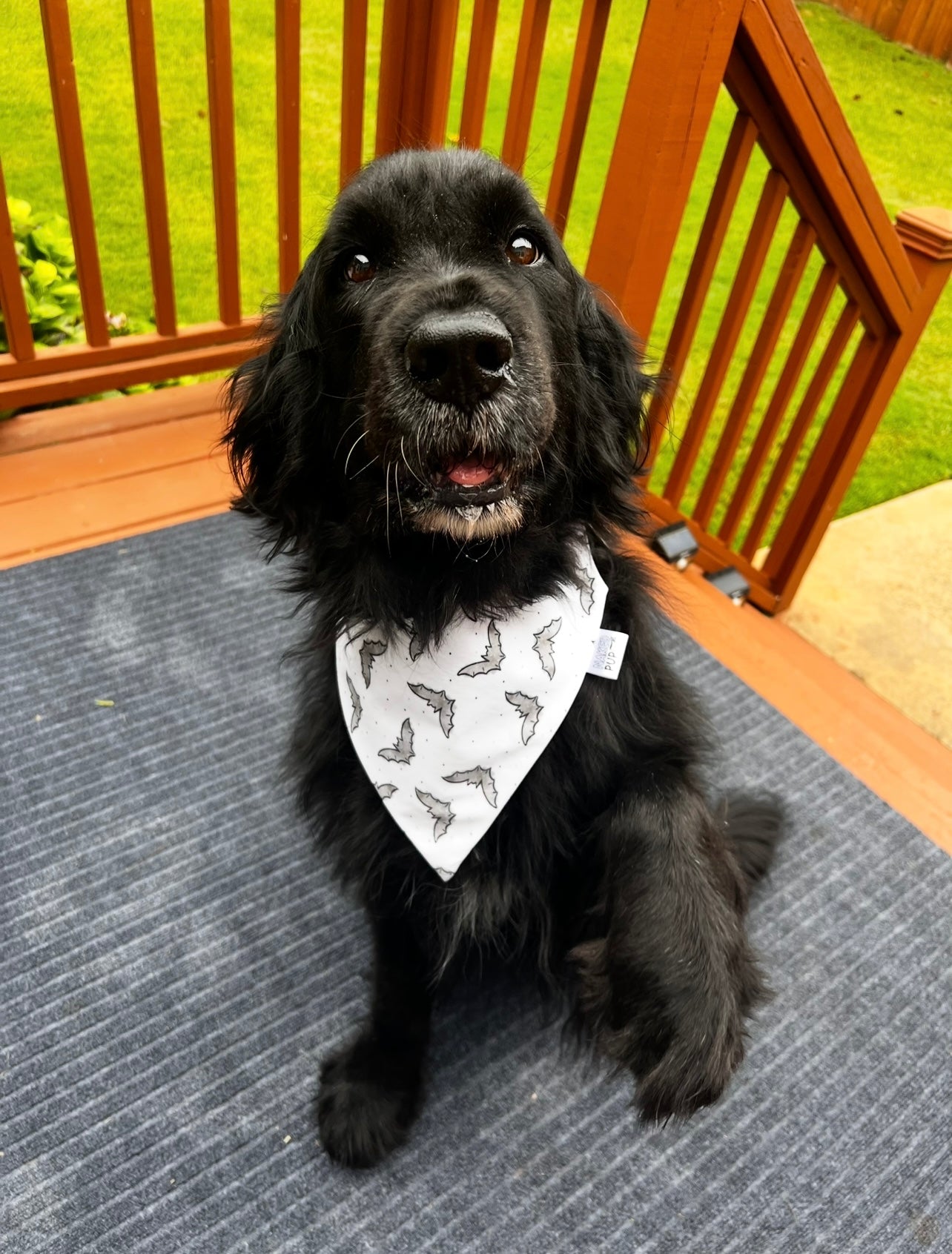Watercolor Bats Dog Bandana