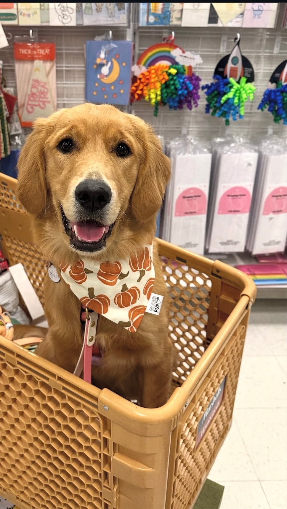 The Great Pumpkin Dog Bandana