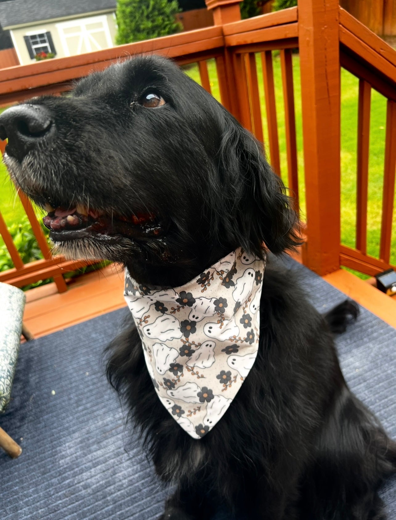 Floral Ghost Dog Bandana