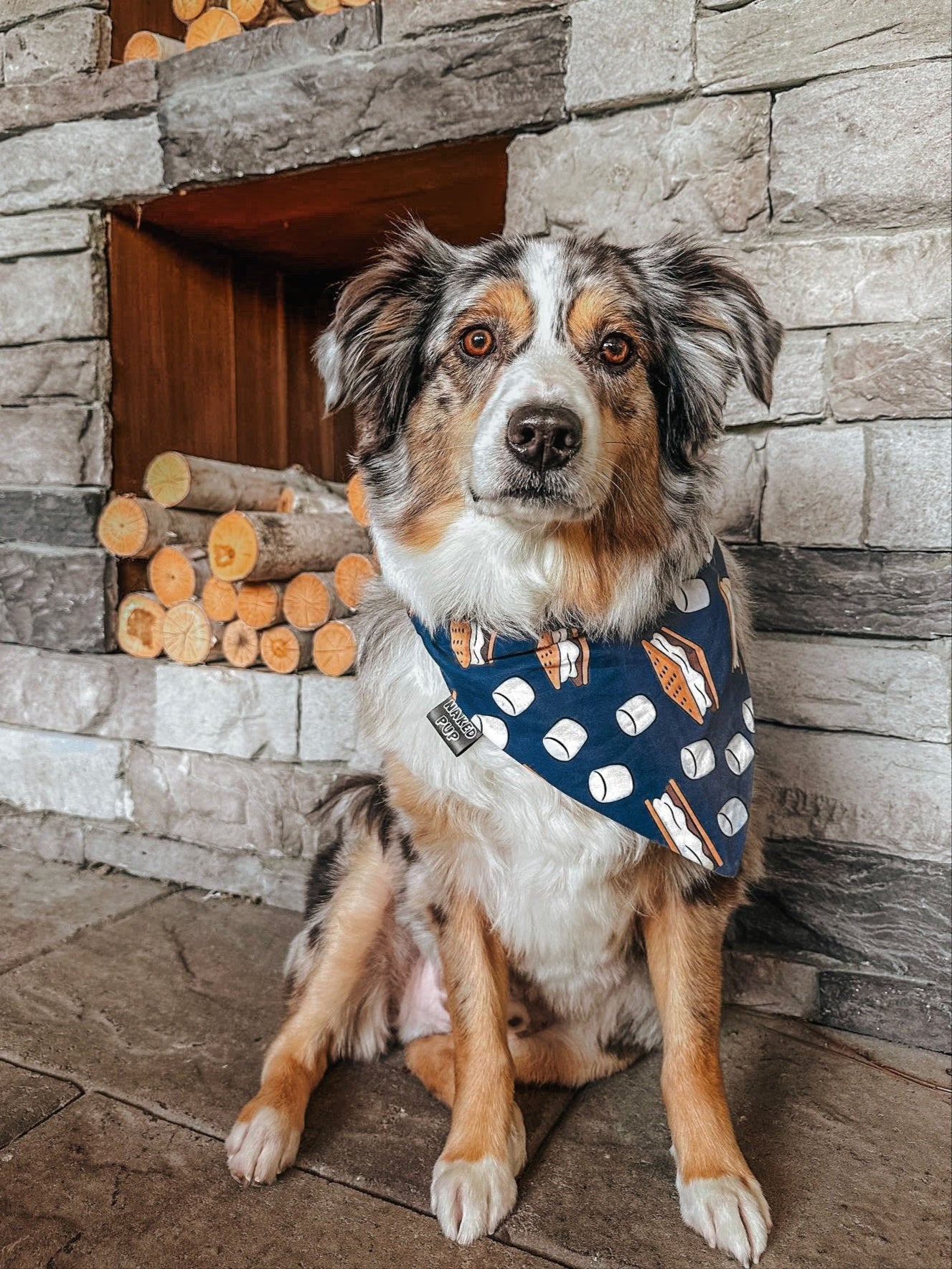 Gimmie S'mores Dog Bandana