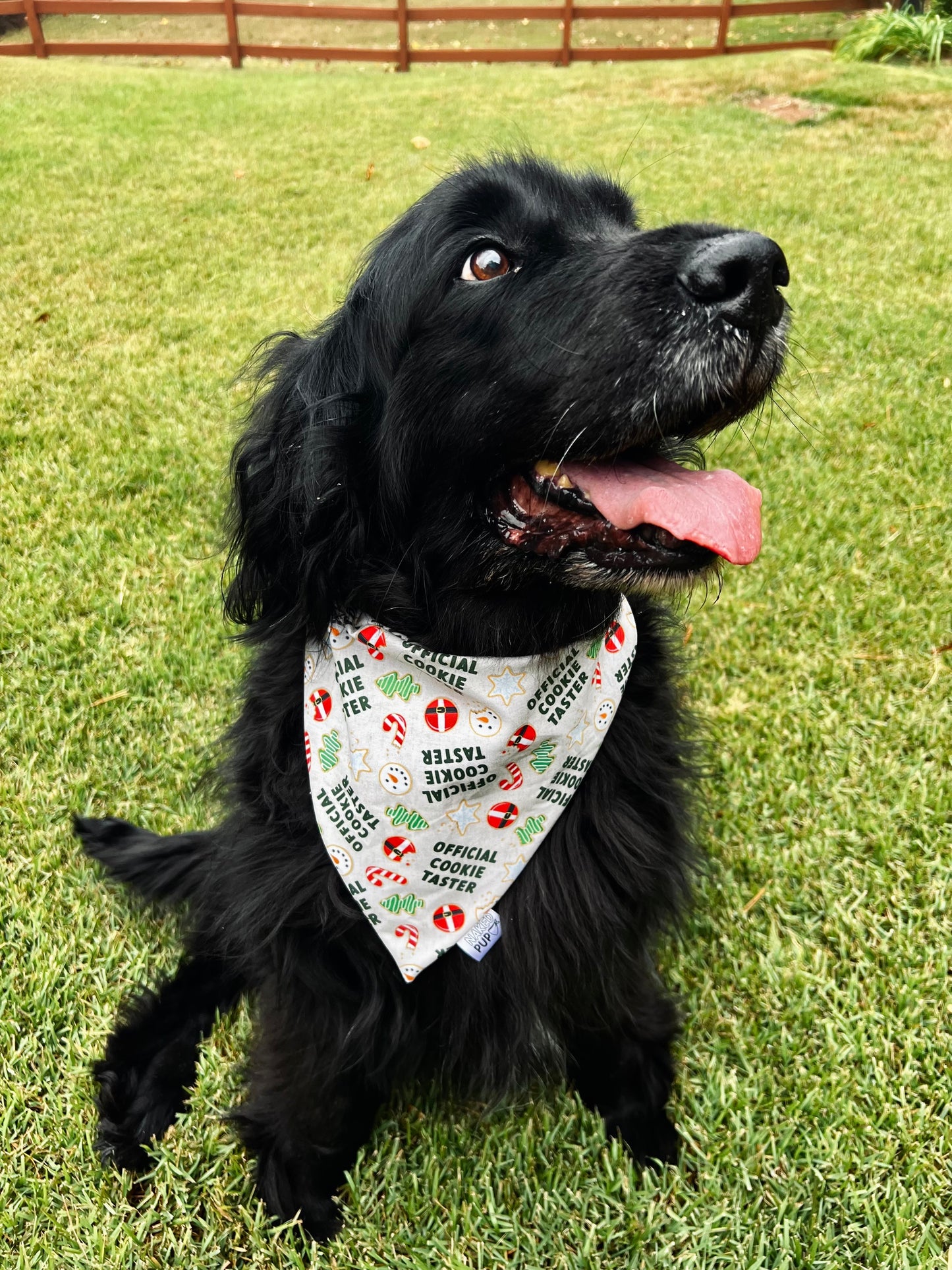 Cookie Taster Dog Bandana