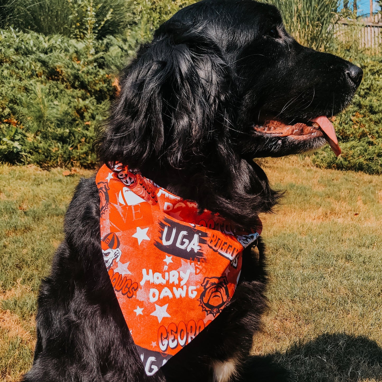 DAWGS Dog Bandana