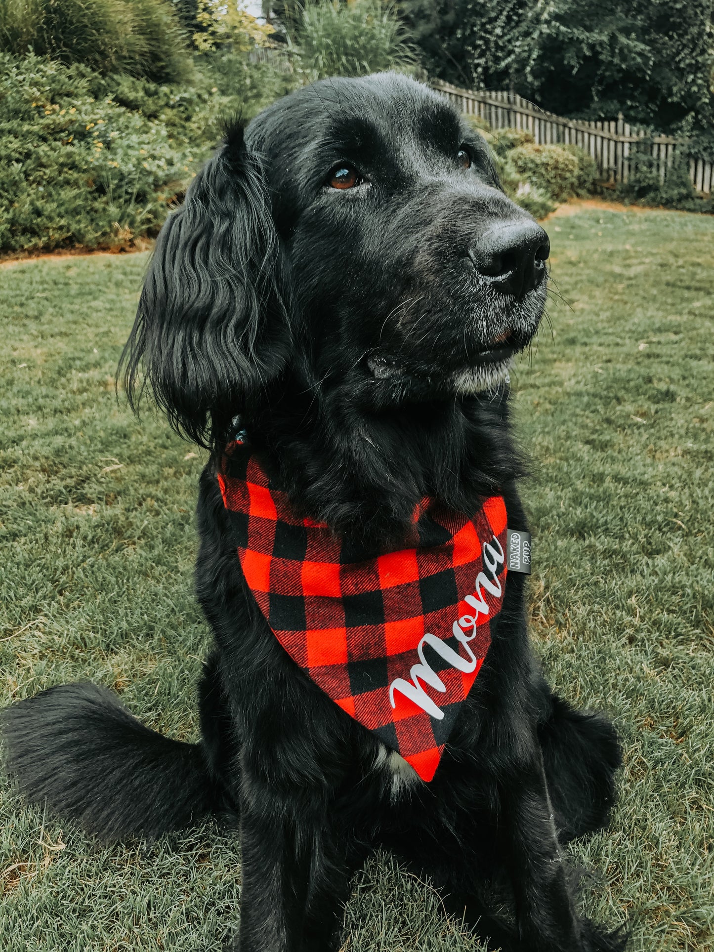 Flannel Plaid Dog Bandana