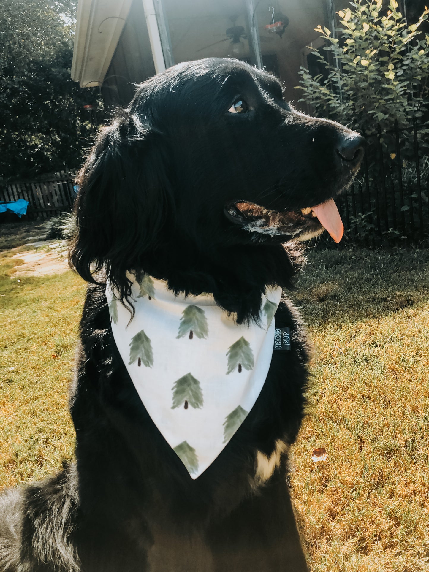 Xmas Tree Farm Dog Bandana