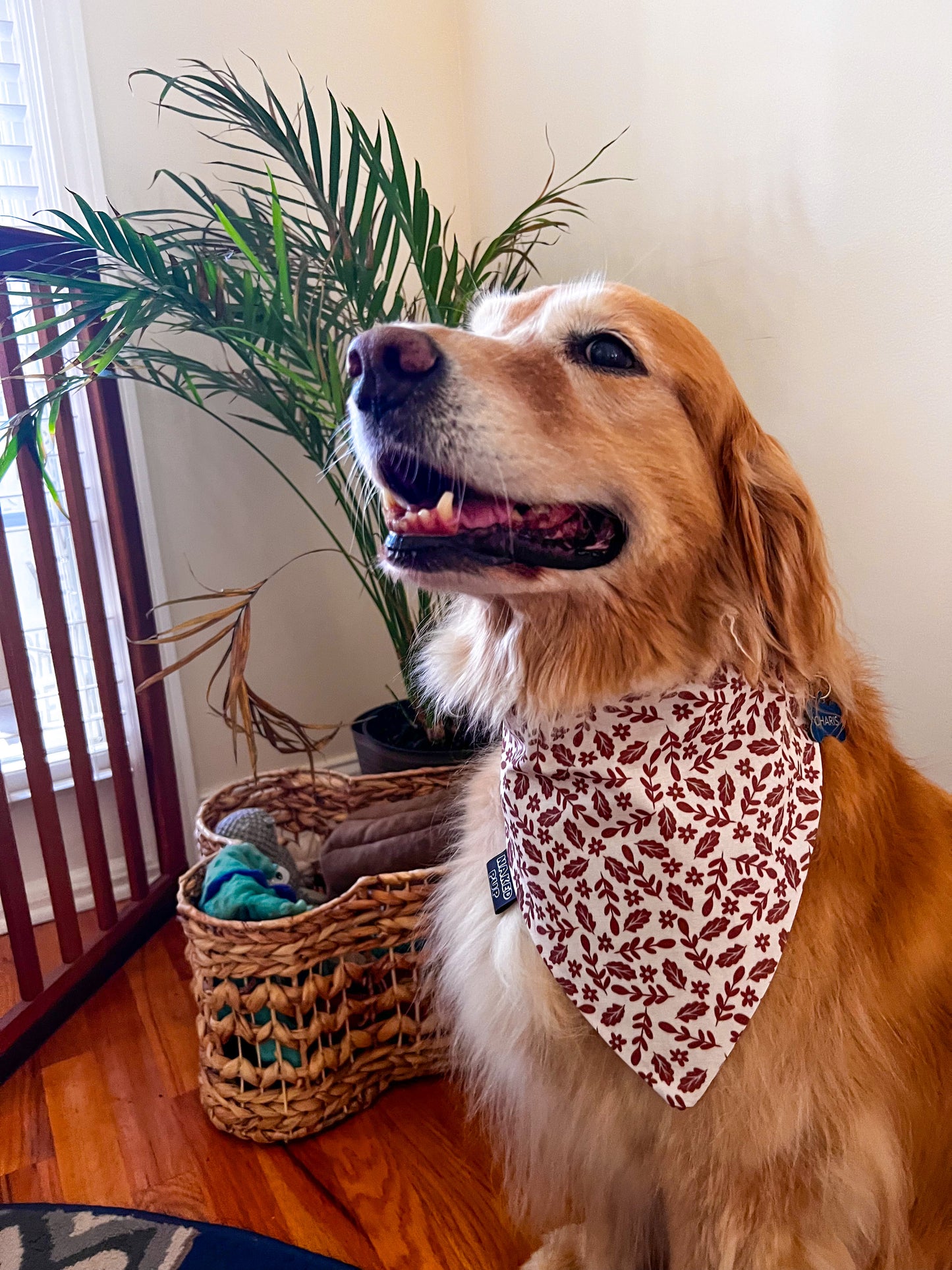 Baby Leaves Dog Bandana