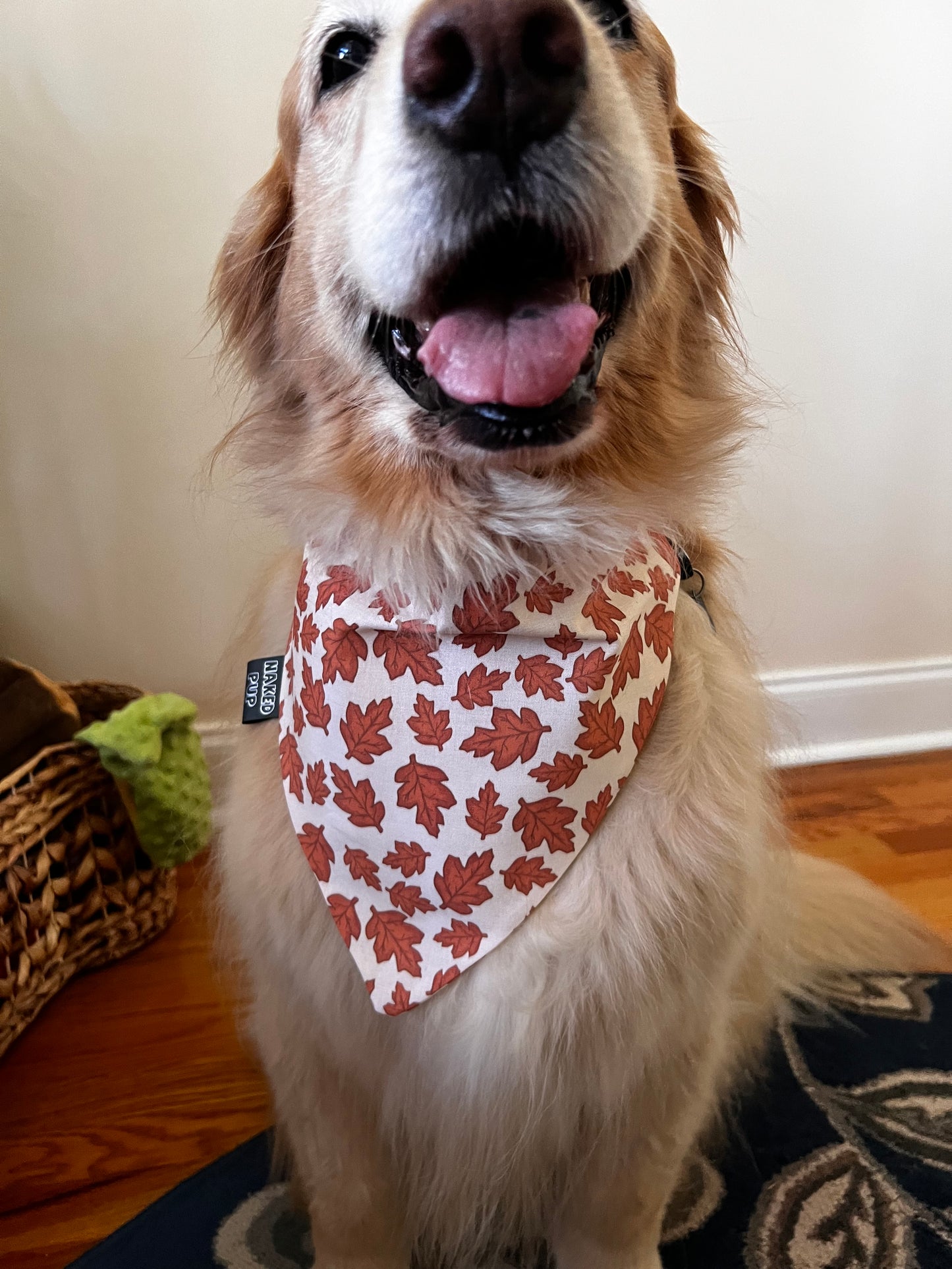 Autumn Leaves Dog Bandana