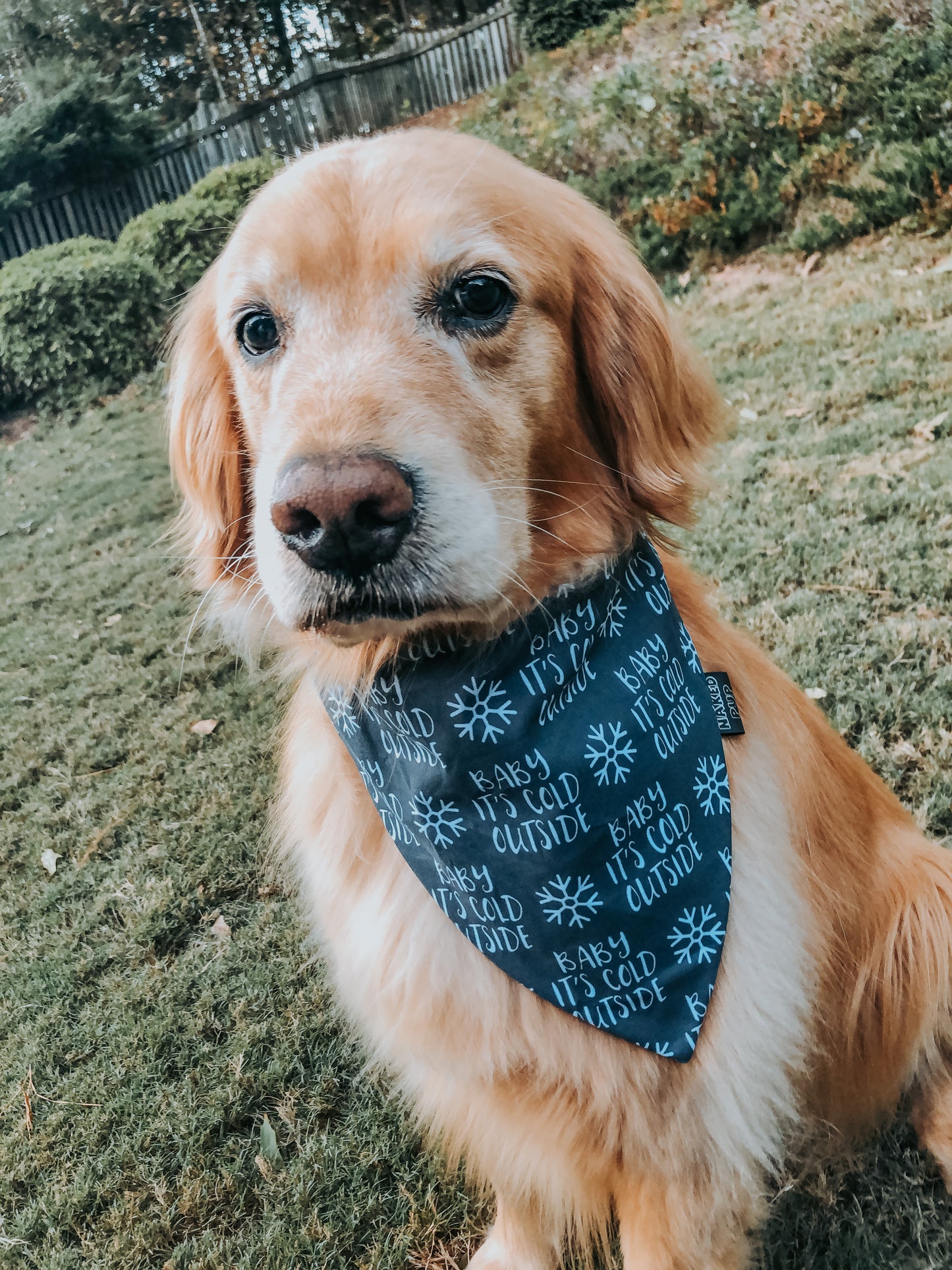 Cold Outside Dog Bandana