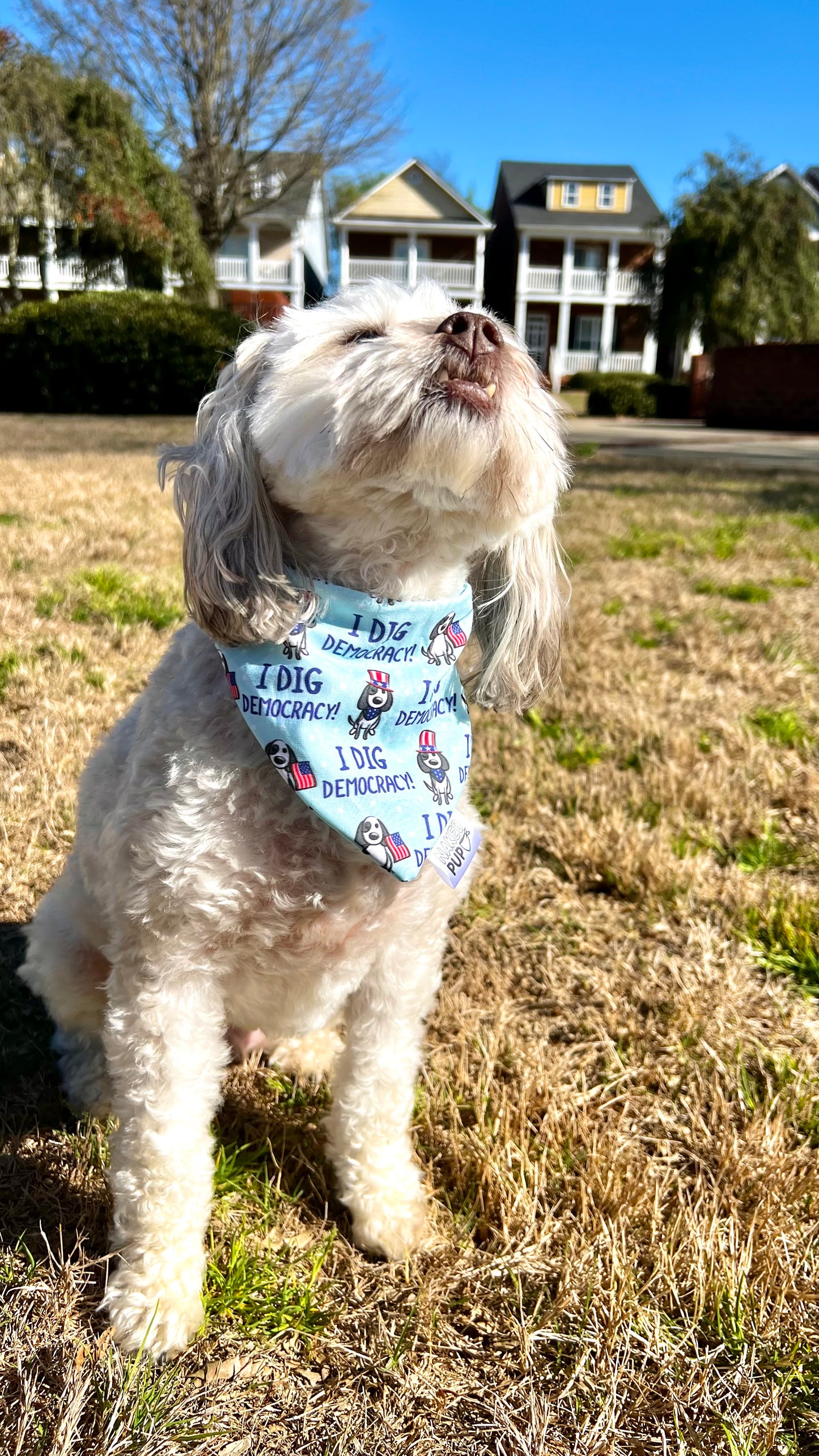 Dig Democracy Bandana