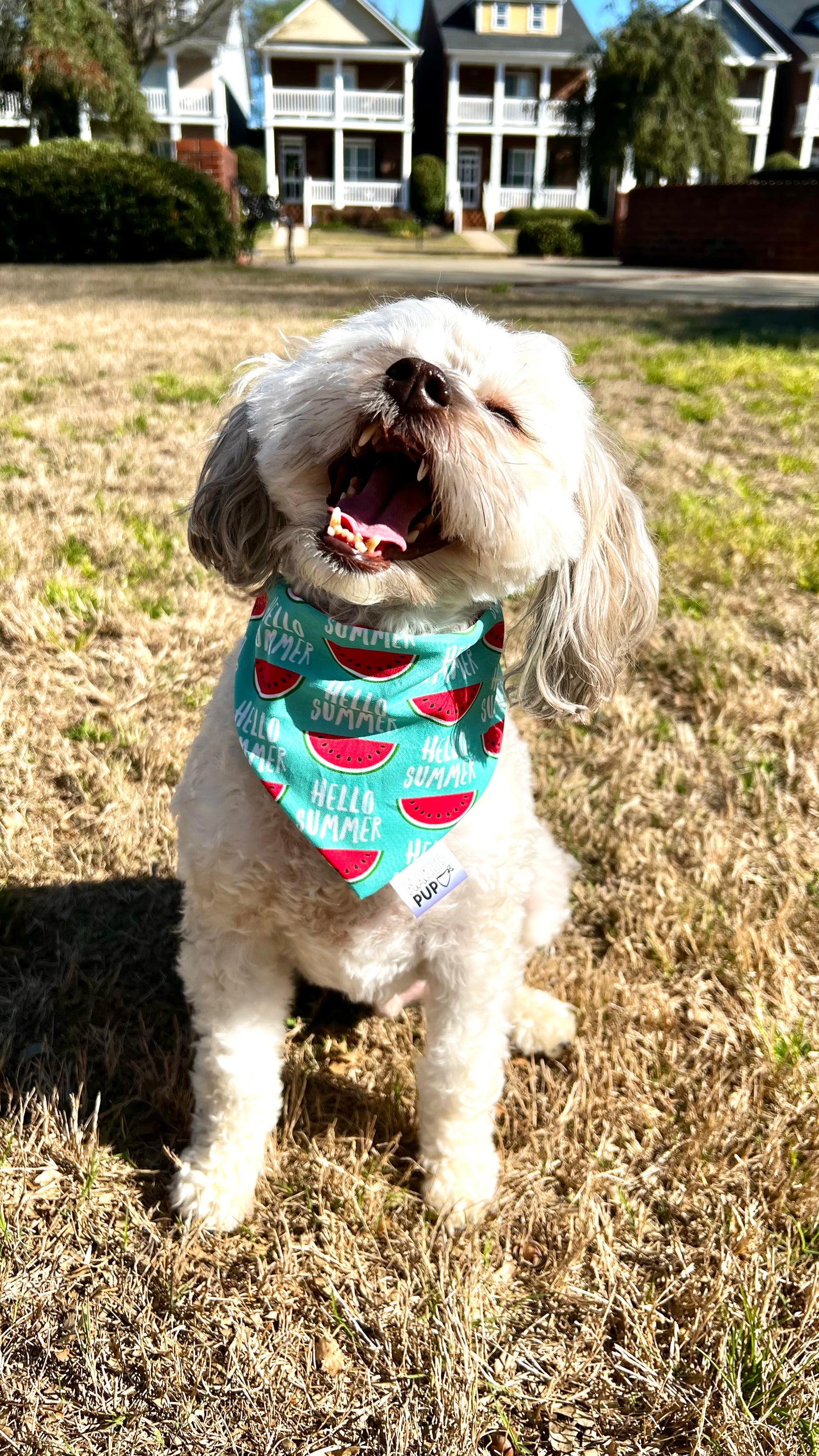 Hello Summer Bandana