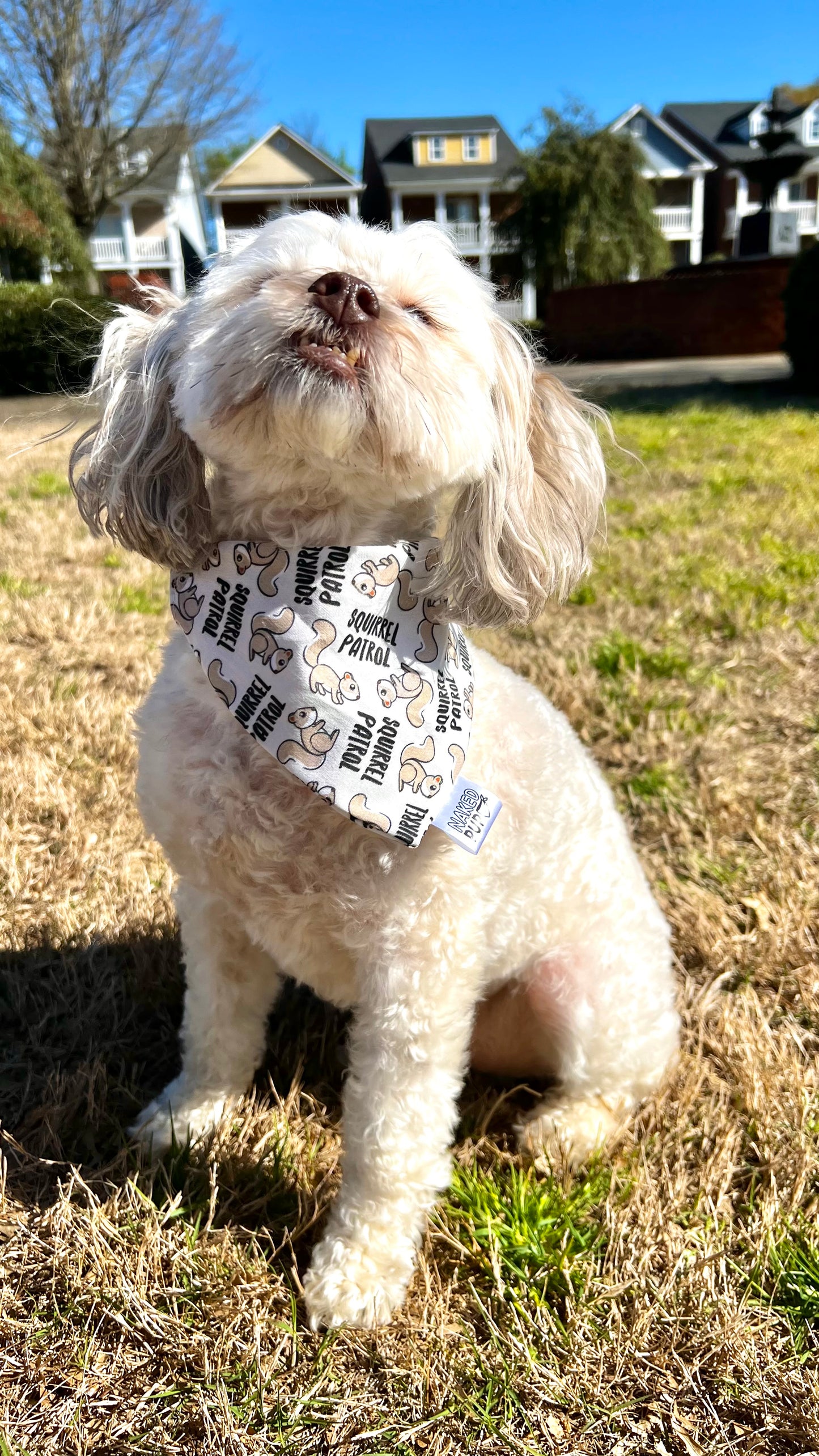 Squirrel Patrol Bandana