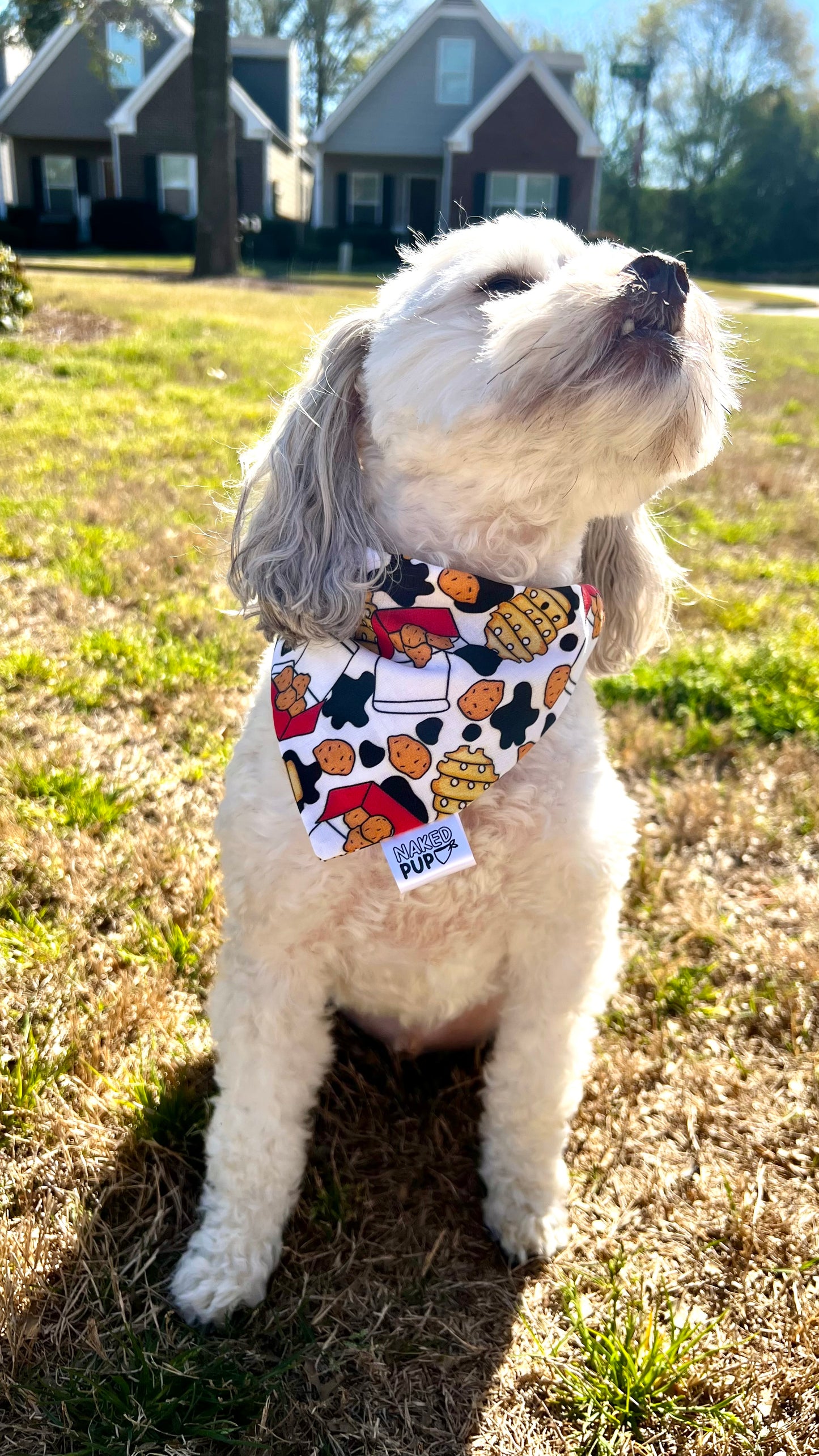 Eat Mor Chikin Bandana