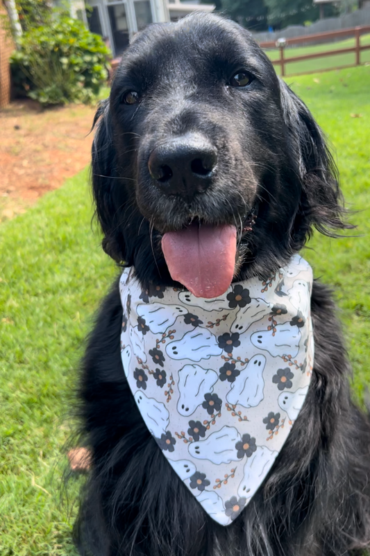 Floral Ghost Dog Bandana