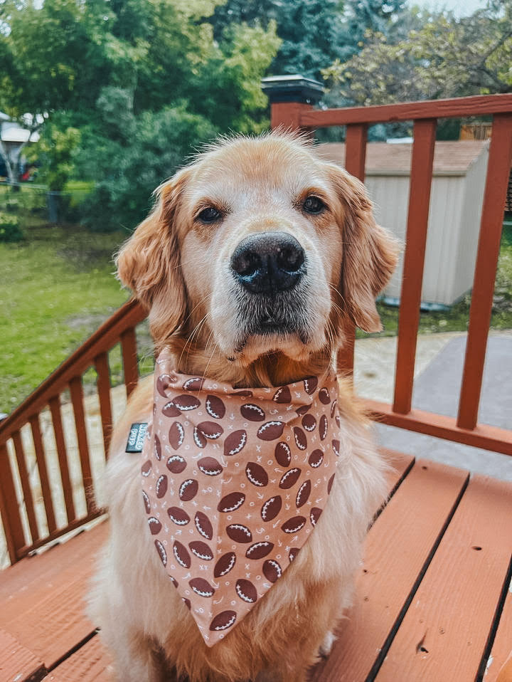Game Day Dog Bandana