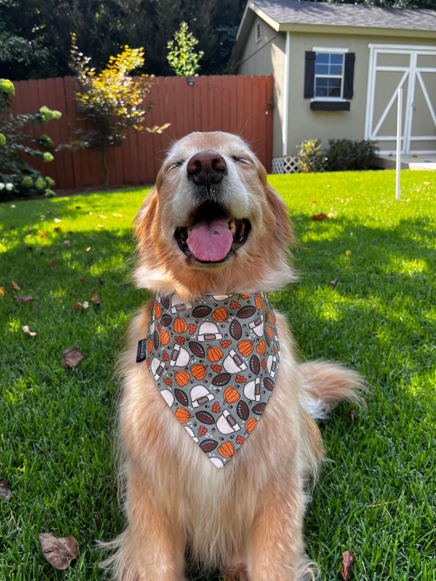 Autumn Nights Dog Bandana