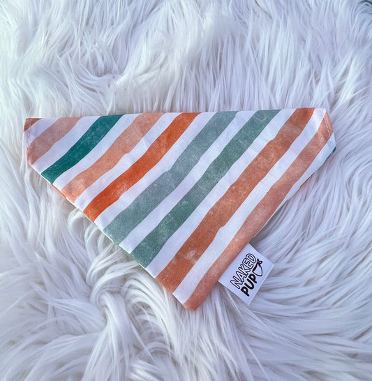 Autumn Stripes