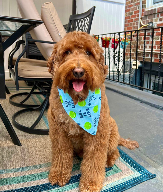 Ball is Life Dog Bandana