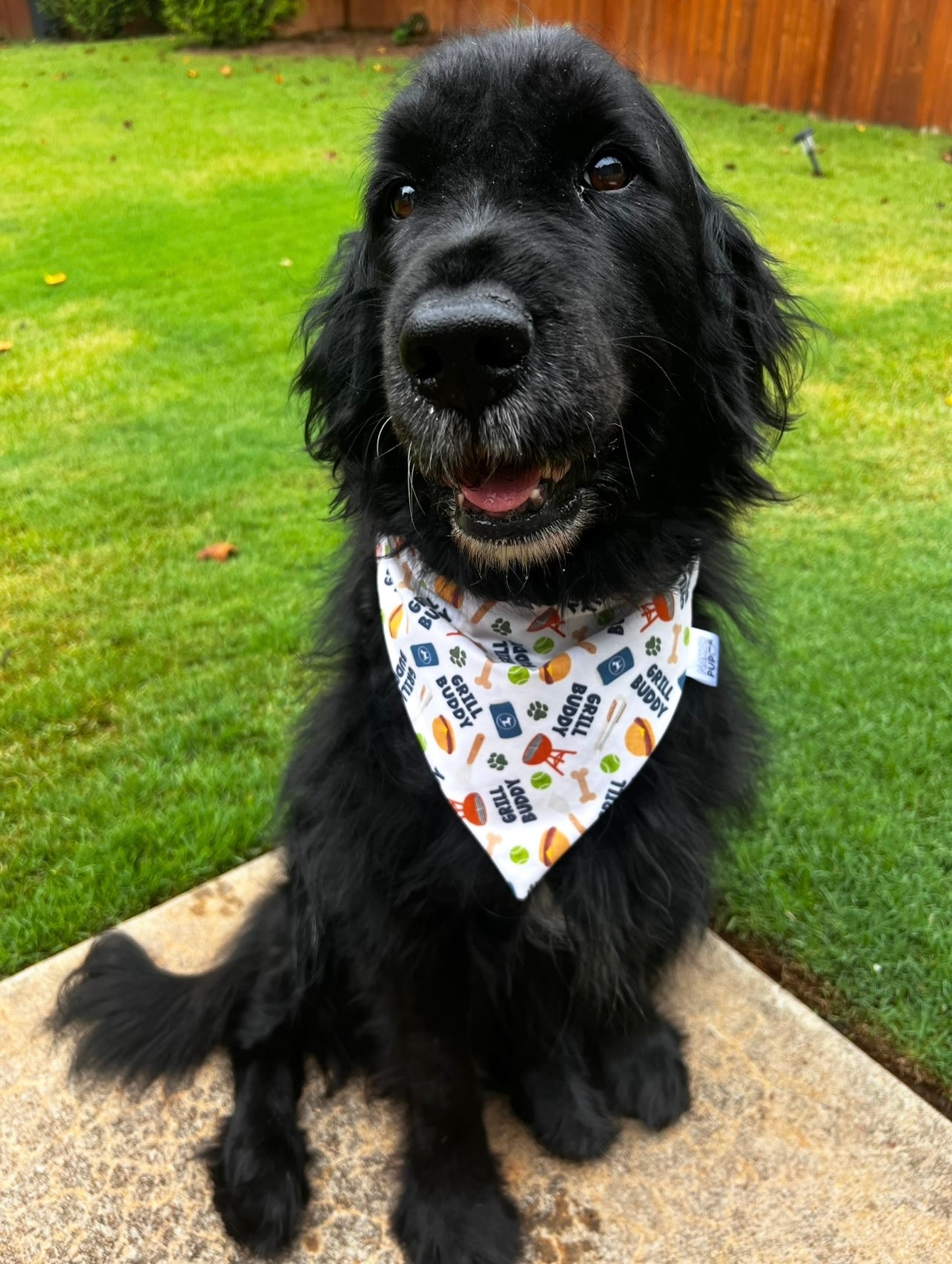 Grill Buddy Dog Bandana
