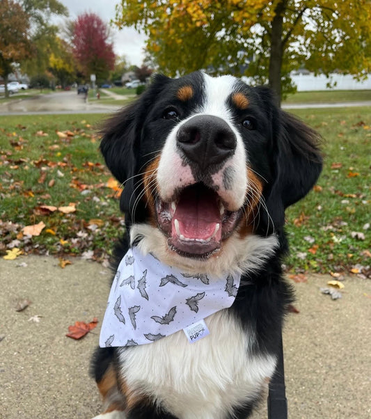 Watercolor Bats Dog Bandana