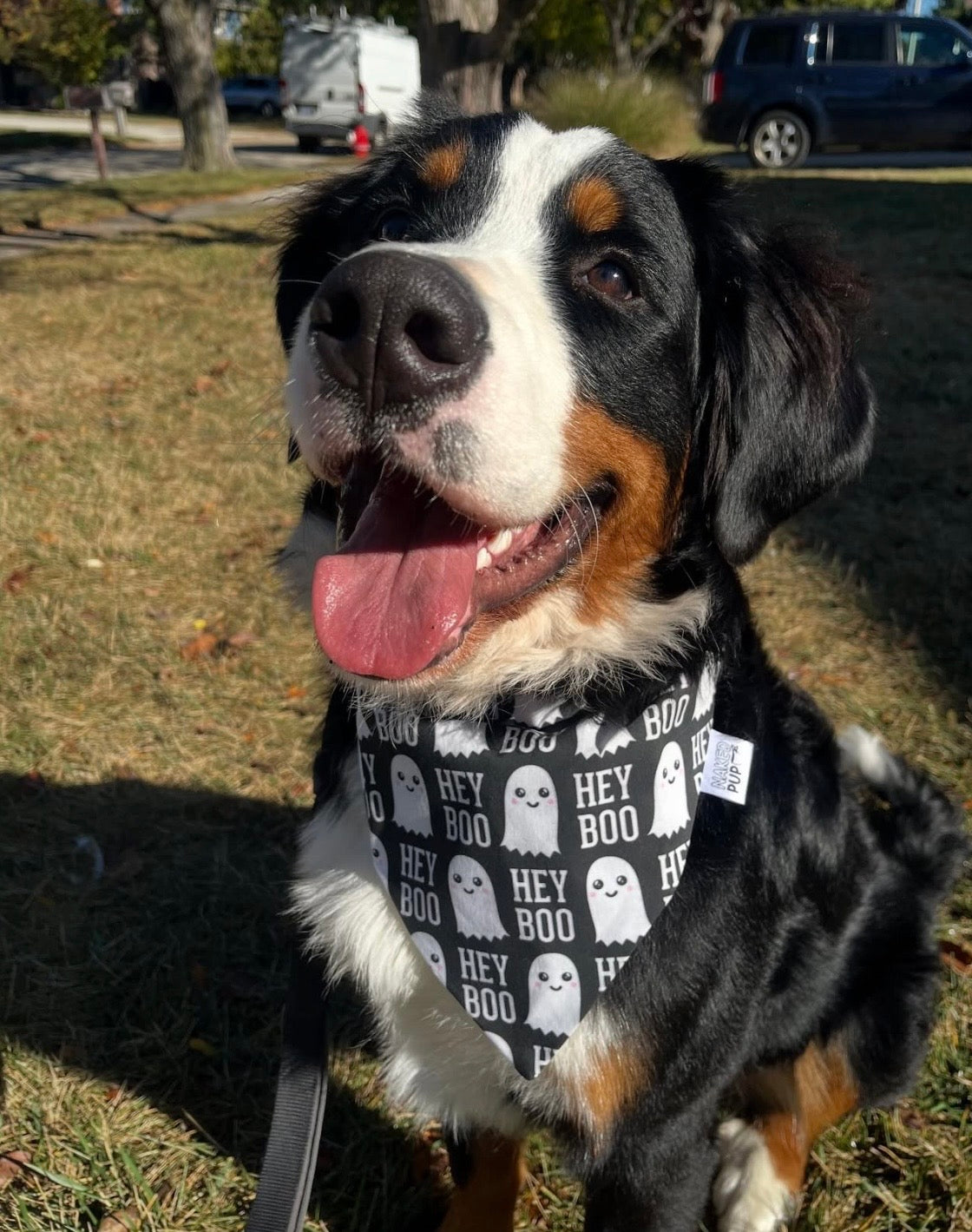 Hey Boo Dog Bandana