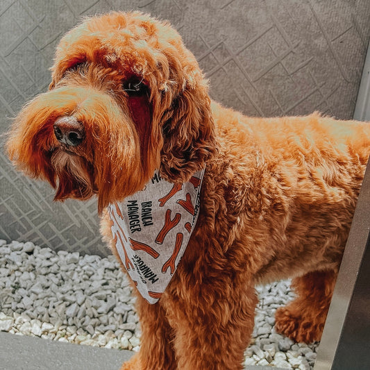 Branch Manager Dog Bandana