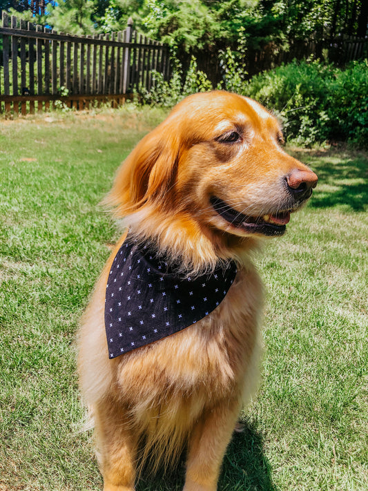 B&W Plus Dog Bandana
