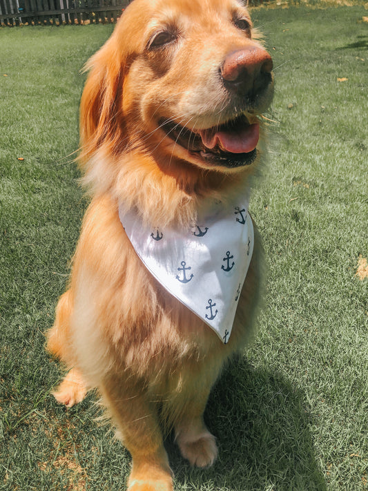 Anchors Away Dog Bandana