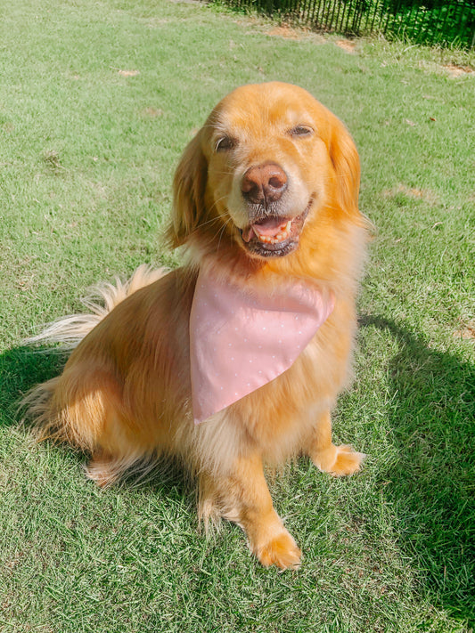 Pink Dot Dog Bandana