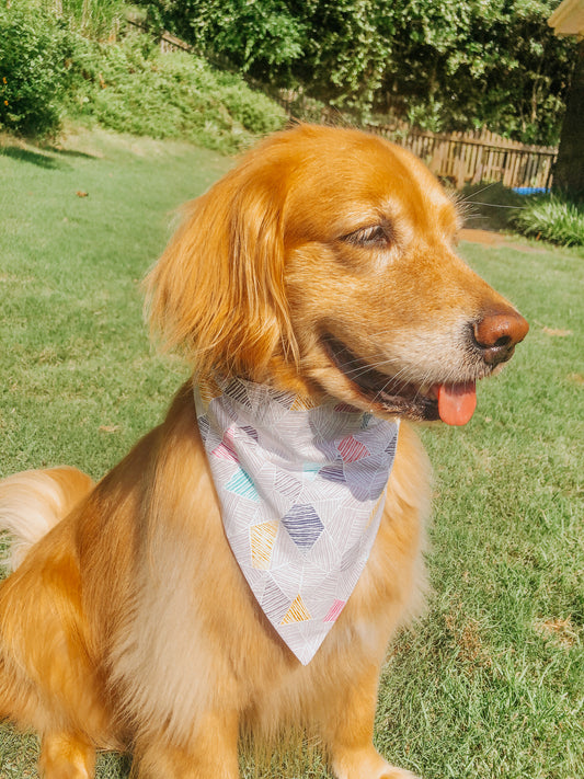 Multi Geometric Dog Bandana