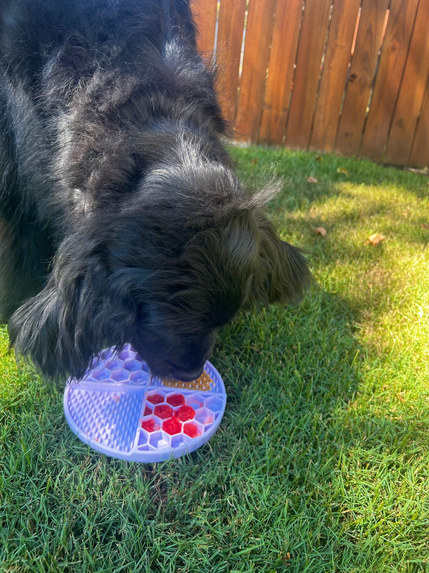 Lick Mat