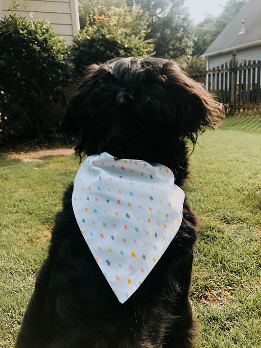 Multi Dot Dog Bandana