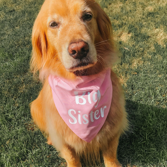 Big Sister Dog Bandana