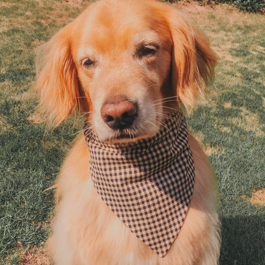 Neutral Plaid Dog Bandana