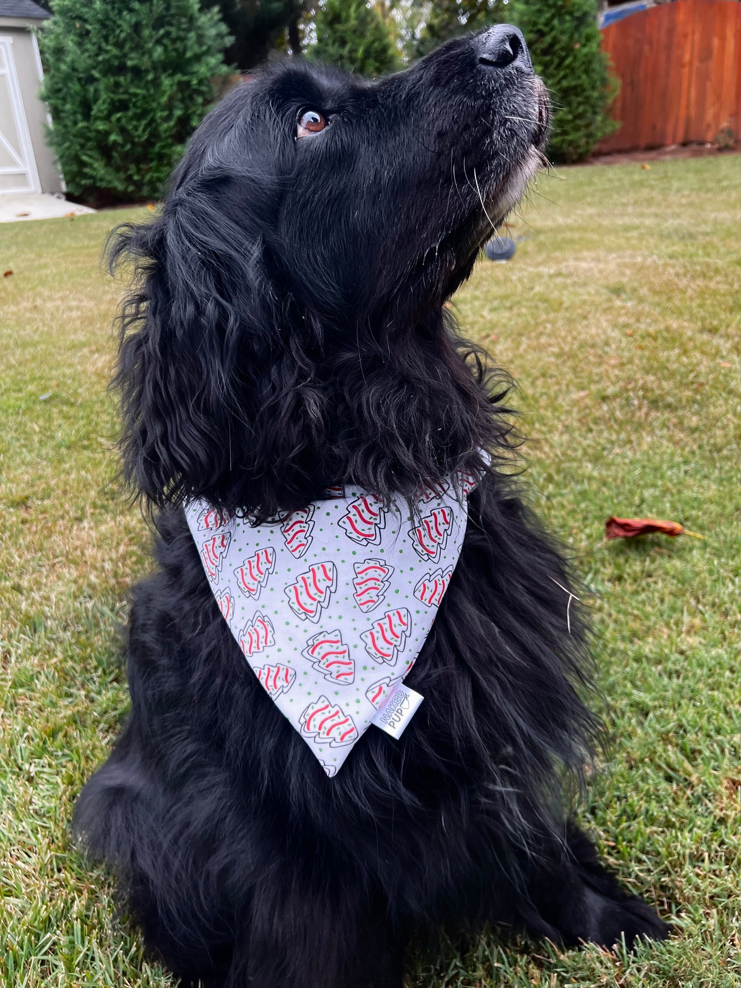Christmas Cake Dog Bandana