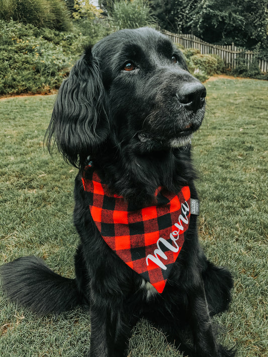 Flannel Plaid Dog Bandana