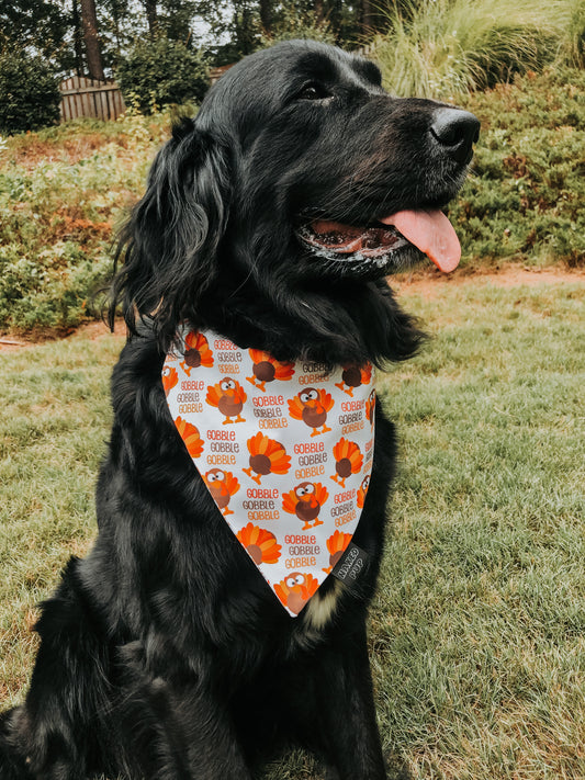 Turkey Gobble Dog Bandana