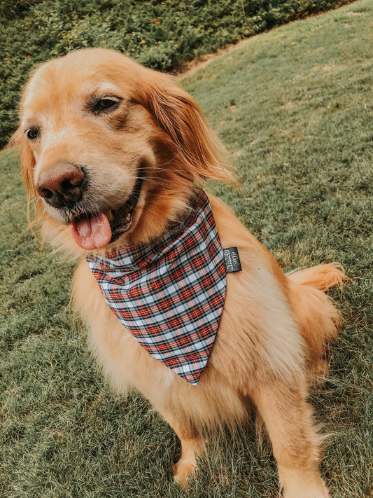Holiday Plaid Dog Bandana