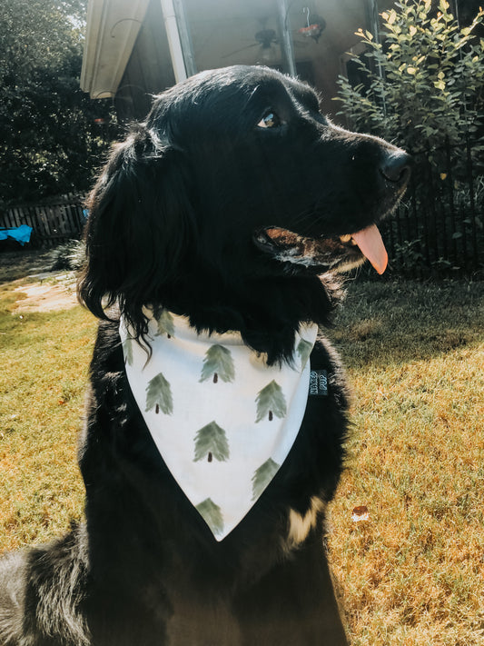 Xmas Tree Farm Dog Bandana