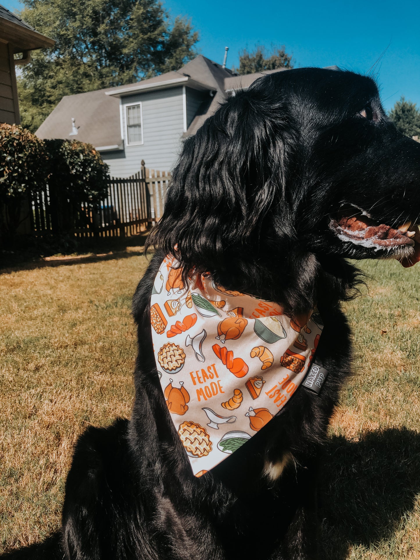 Feast Mode Dog Bandana