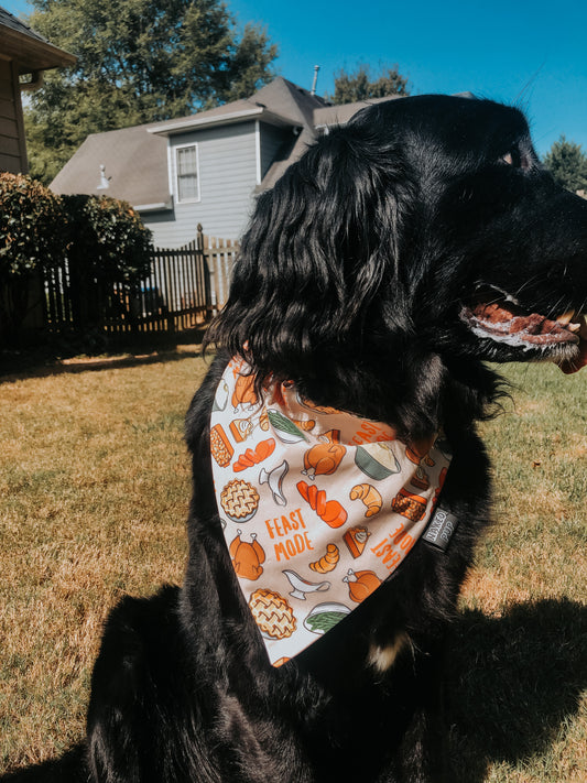 Feast Mode Dog Bandana