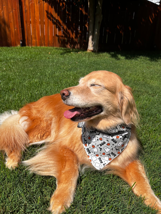 Lil Boo Dog Bandana