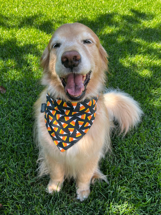 Candy Corn Pizza Dog Bandana