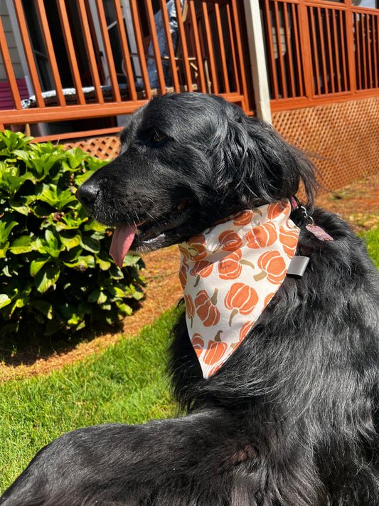 The Great Pumpkin Dog Bandana