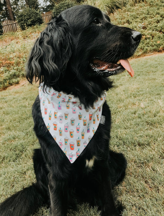 Pup Cup Dog Bandana