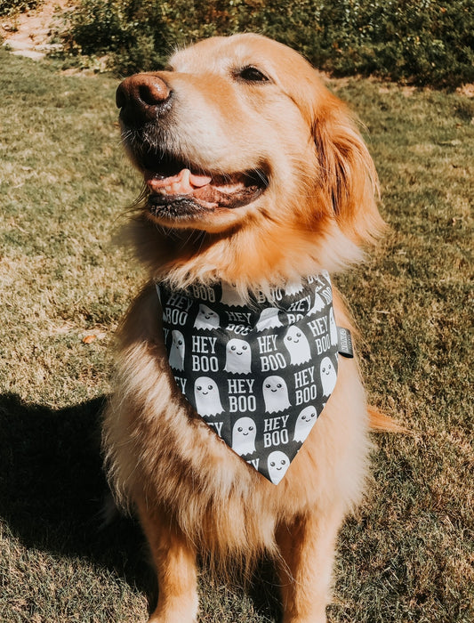 Hey Boo Dog Bandana