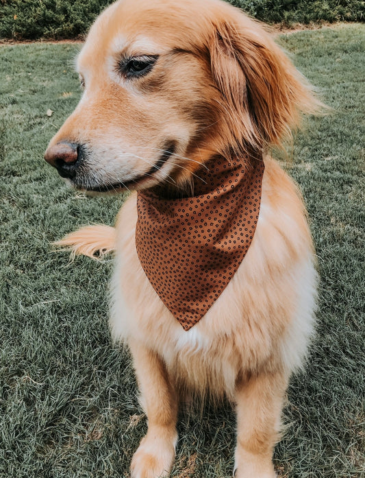 Neutral Dots Dog Bandana