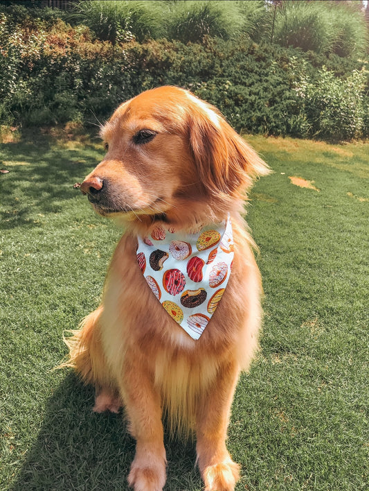 Donuts Dog Bandana